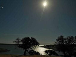 2022-09-09 Jogo Airsoft ANA - SALAMANDRA 1